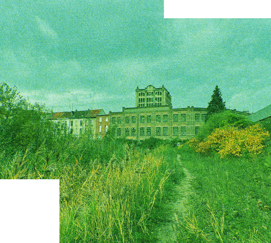 Illustration du marais de Biestebroeck
