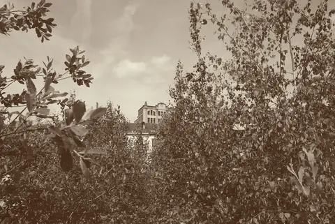 Cadre 17, photo de la frise