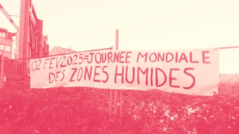 Cadre 22, photo retenue pour la frise