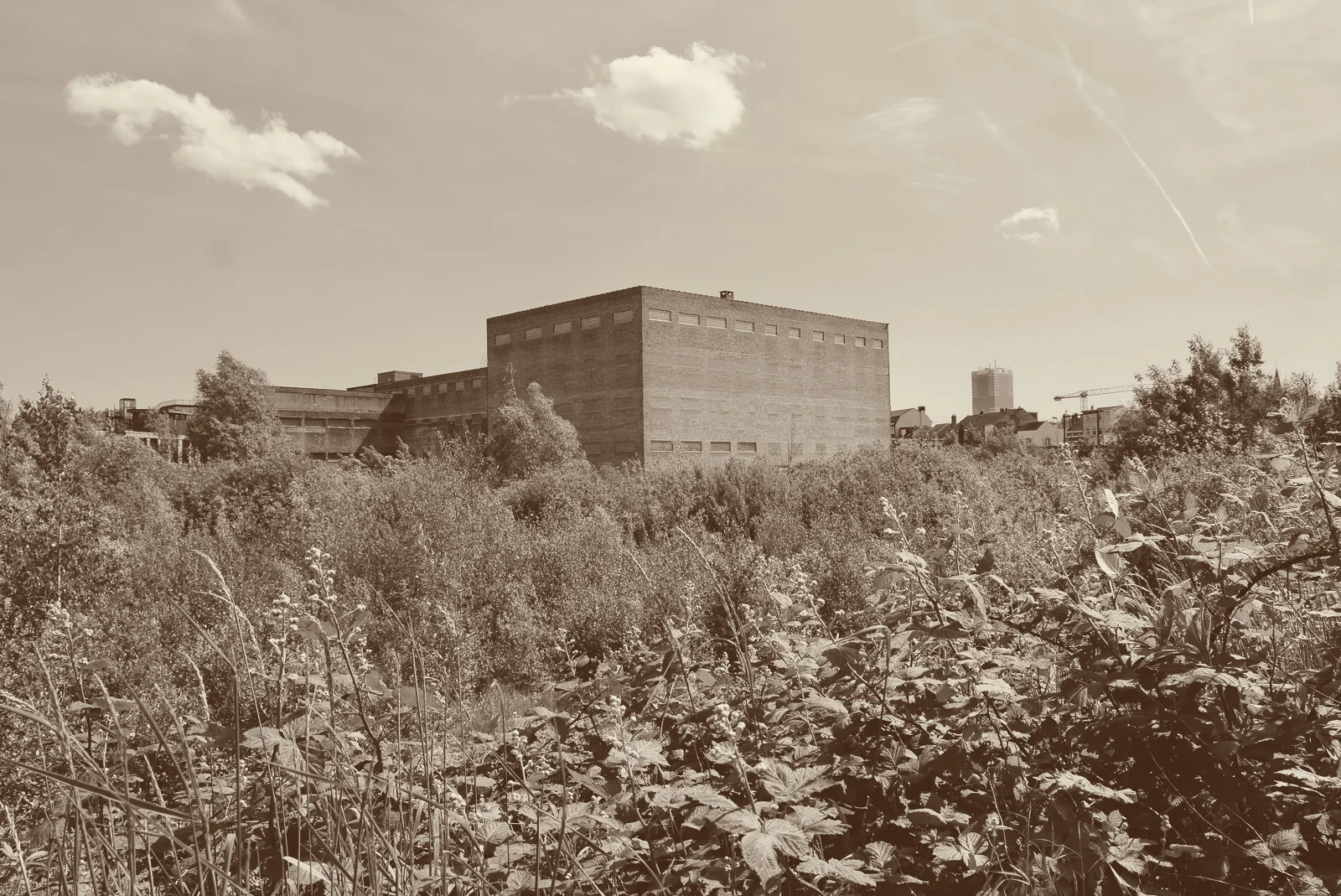 Le bâtiment des anciennes Brasseries Atlas, vu depuis les herbes hautes du marais