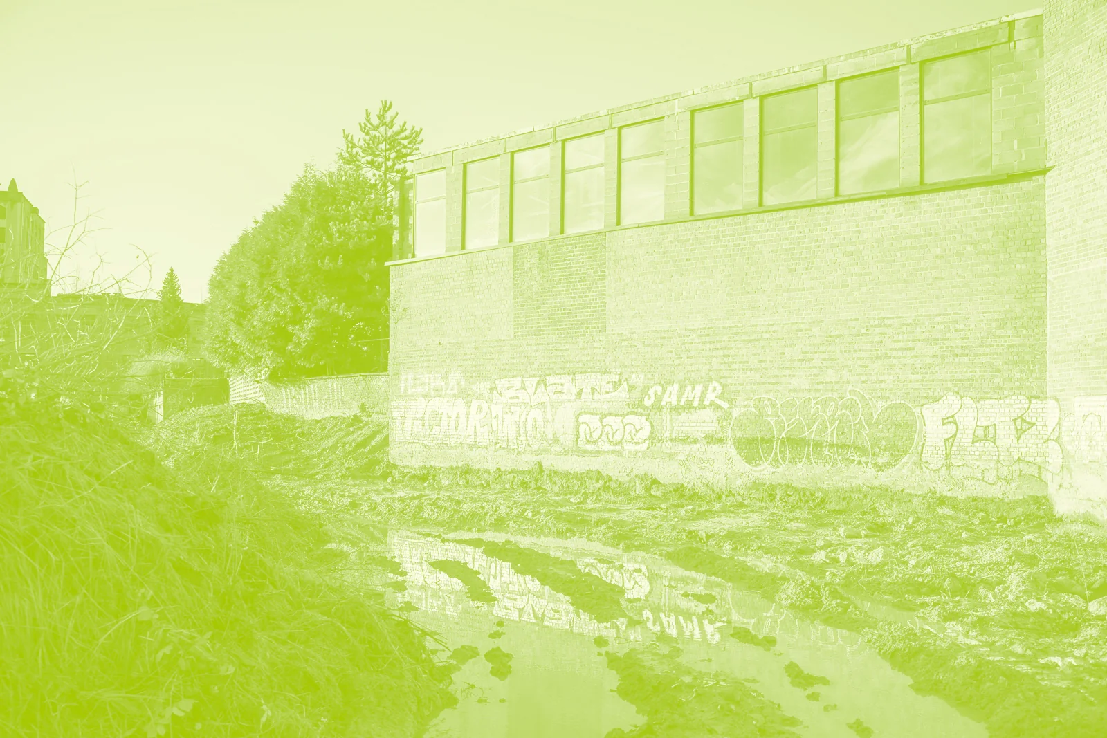 Le long bâtiment industriel qui borde le marais, vu depuis la végétation
