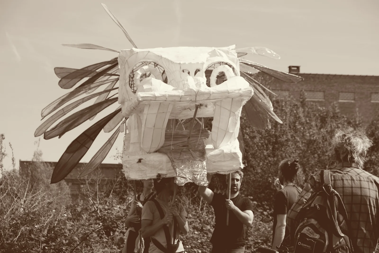 Un dragon en papier mâché blanc, hérissé de longues plumes, porté à bout de bâtons au-dessus de la végétation du marais.