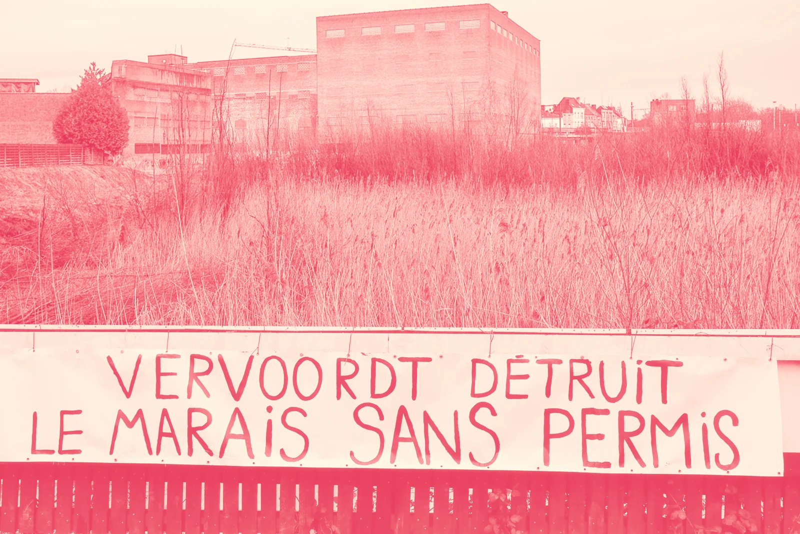 Banderole «&nbsp;Vervoordt détruit le marais sans permis&nbsp;» accrochée à la clôture, devant la roselière et d’anciens bâtiments industriels